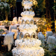 Illustration for article titled Multi-million dollar wedding, by Sean Parker.
